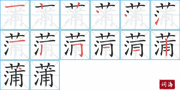 蒲字怎么写图解