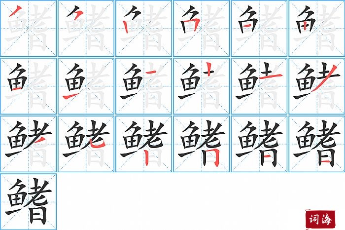 鳍字怎么写图解