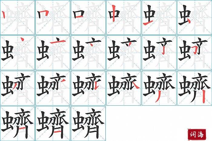 蠐字怎么写图解