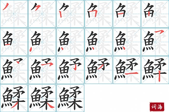 鰇字怎么写图解