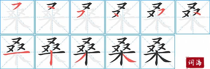 桑字怎么写图解