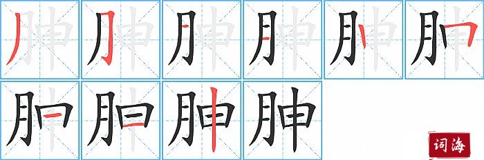 胂字怎么写图解