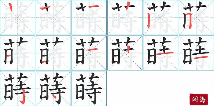 蒔字怎么写图解