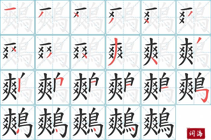 鷞字怎么写图解