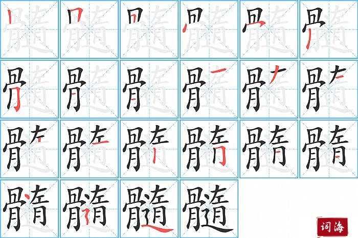 髓字怎么写图解