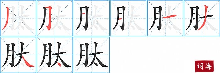 肽字怎么写图解