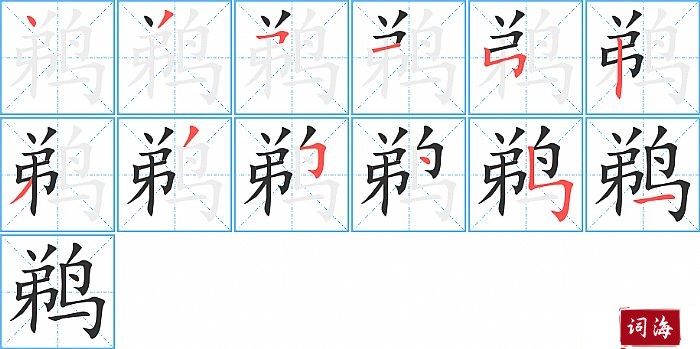 鹈字怎么写图解