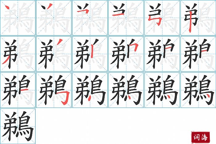 鵜字怎么写图解