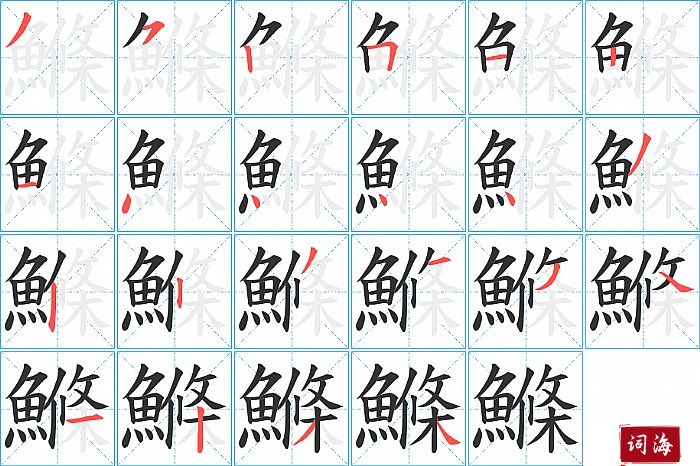 鰷字怎么写图解