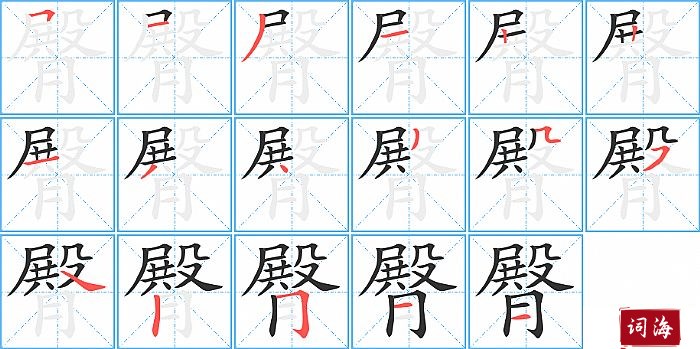 臀字怎么写图解