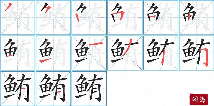 鲔字怎么写图解