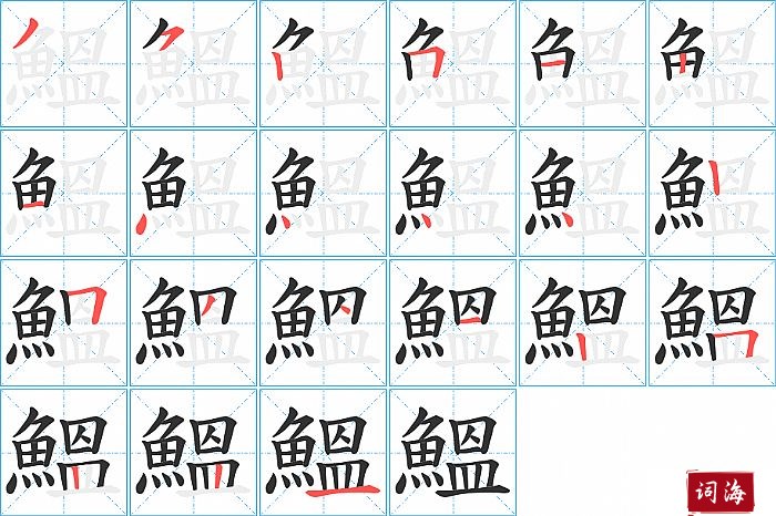 鰮字怎么写图解