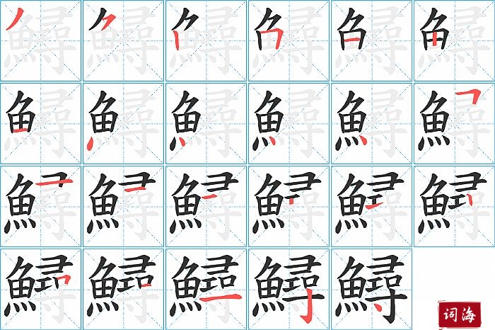 鱘字怎么写图解