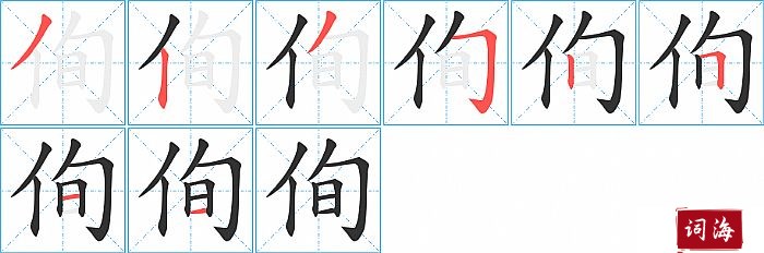 侚字怎么写图解