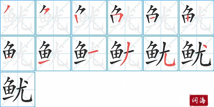 鱿字怎么写图解