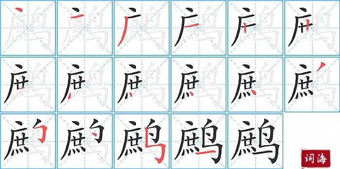 鹧字怎么写图解