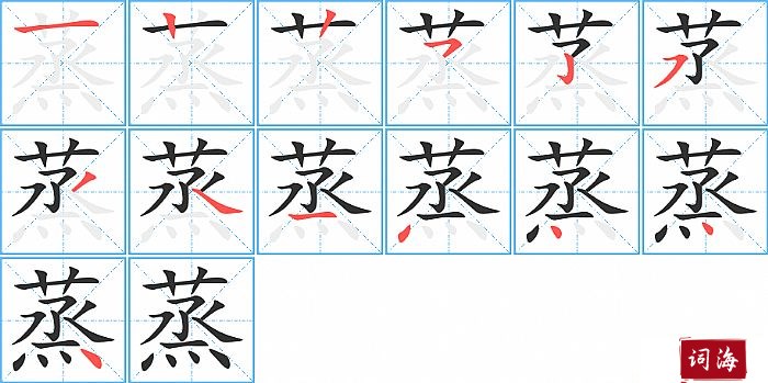 蒸字怎么写图解