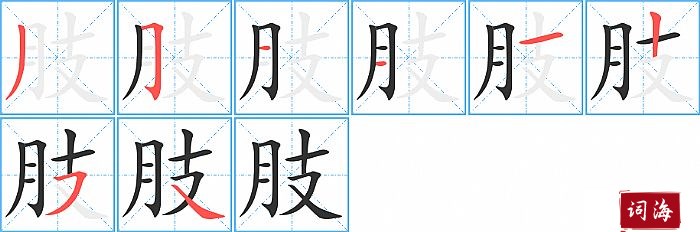 肢字怎么写图解