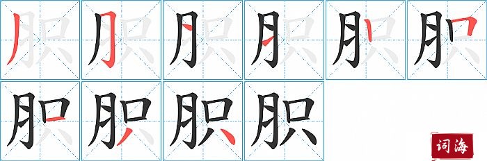 胑字怎么写图解