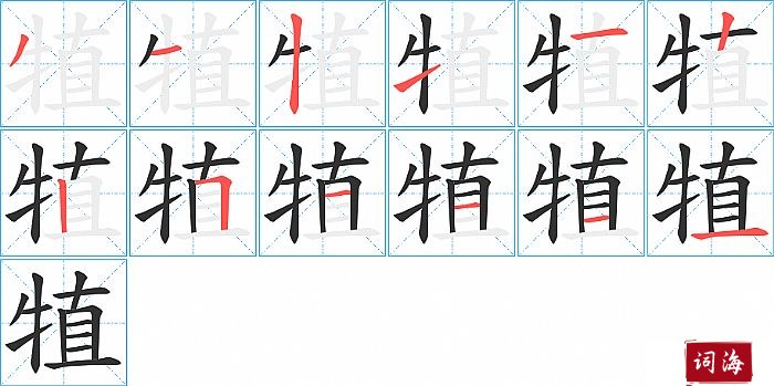 犆字怎么写图解