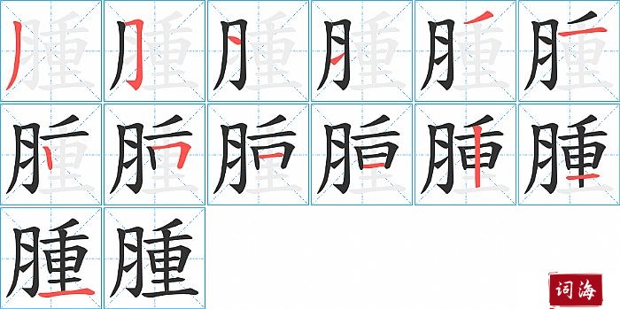 腫字怎么写图解