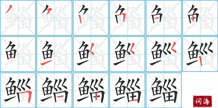 鲻字怎么写图解